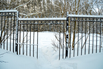 Metal fence with a passage covered with snow. Winter landscape with a hedge.