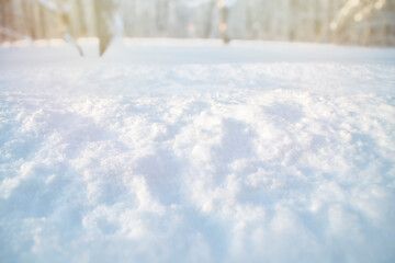 Close-up of snow. Template with empty snow surface in the park. Trees in blur in the background.