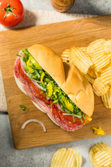 Homemade Italian Sub Sandwich - 779822865