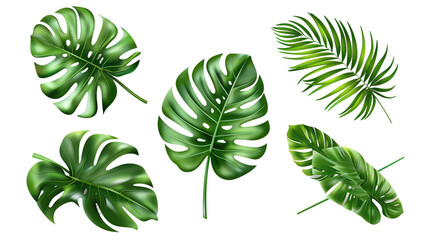 Fototapeta na wymiar Exotic plants collection featuring palm leaves and monstera, isolated on white. Watercolor vector illustrations perfect for botanical designs, top view flat lay, vibrant digital art with transparent b