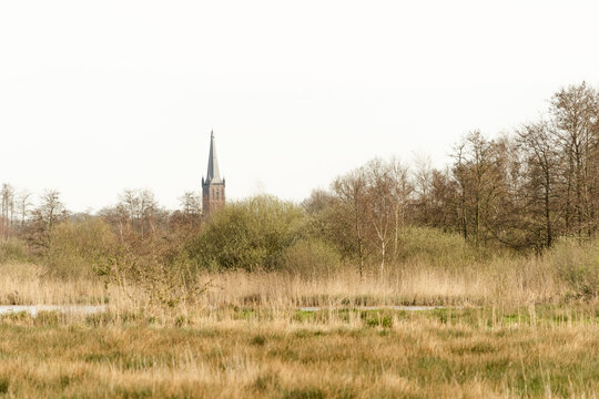 Steenwijk