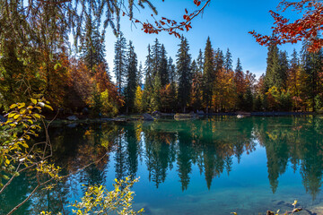 Le lac Vert en automne, Passy, Haute-Savoie - obrazy, fototapety, plakaty