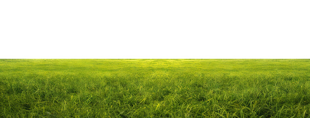 Green grass field, cut out