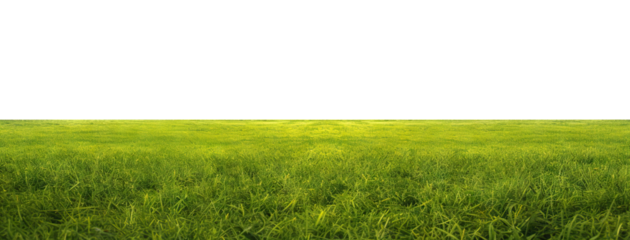 Green grass field, cut out