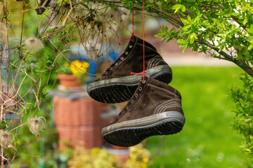 shoes hanging in a garden in spring