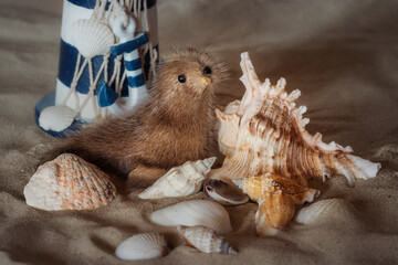 Beach scene with a seal, shells and a lighthouse
