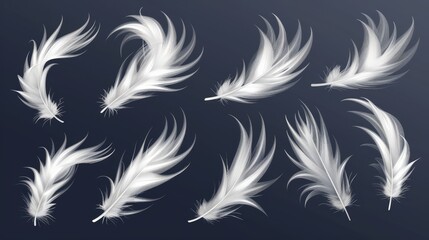 Fototapeta na wymiar Feathers from birds or angels, symbol of softness and purity, isolated on transparent background.
