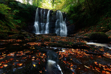 Waterfall Trail at Glenariff Forest Park near Causeway Coastal Route, Country of Antrim, Northern Ireland. europe