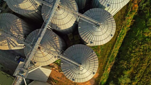 Top view on metallic roofs of large grain storage cisterns located in rural areas. Innovative agrarian manufactory for cultivation and keeping grain crops lit with sunlight.