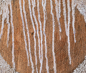 White paint dripping on end of wood log