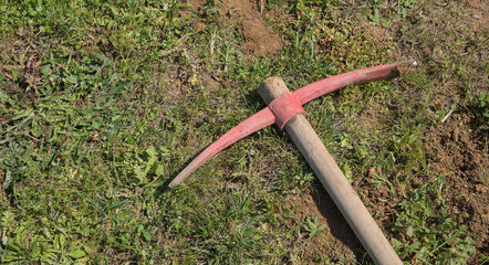 Pickaxe being used to remove the roots of pampas grass