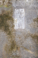 Closeup cement wall with mildew and white rectangle paint brush marks hanging down from top 