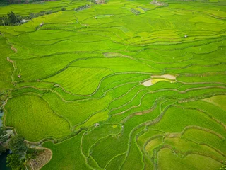  Top view of patterns, texture and color of green rice terrace fields and small hut near Kacura Waterfall, from drone ,Sumba, Bali, Indonesia. © Theerayoot