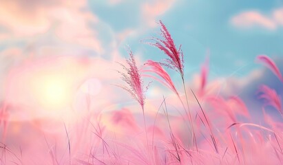Sunset glow: a serene landscape of delicate grass illuminated by the soft light of the setting sun - obrazy, fototapety, plakaty