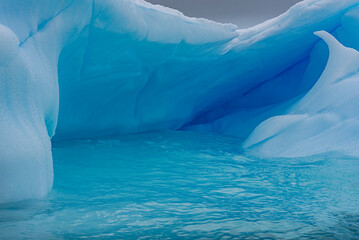Antarctica - obrazy, fototapety, plakaty