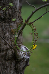 Wreath knitted and hung on a tree.
