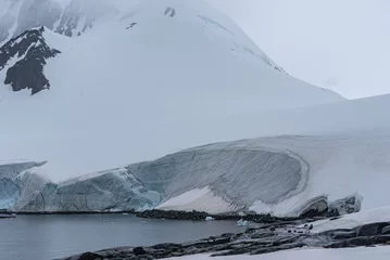 Tuinposter Antarctica © J. J. Sesé