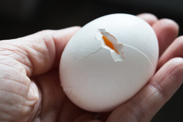 Cracked egg close up. White eggshell with yellow yolk. Organic food concept. Broken egg. Raw egg...