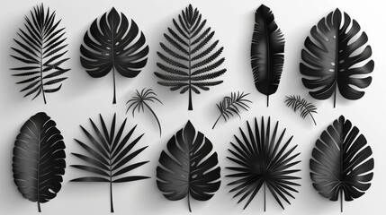 Different palm leaves black silhouette pattern set in black and white - obrazy, fototapety, plakaty