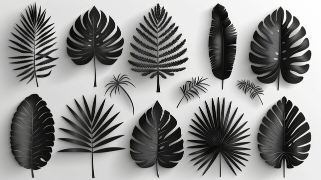 Different palm leaves black silhouette pattern set in black and white