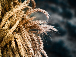 The intricate design of golden-hued matured wheat captured up close against a lush backdrop.