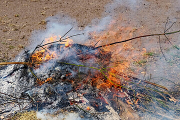 Ashes form as orange flames burn wood pieces.