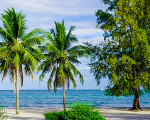 Beach in Sihanoukville. Palm trees and blue sea