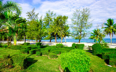 Beach in Sihanoukville. Palm trees and blue sea