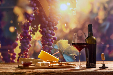 Captivating image showing essence of winemaking, with wine bottle and glass of red wine, cheese set...