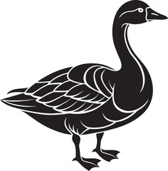 Black and white goose isolated on a white background. Vector illustration.