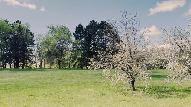 the square near Chisinau International Airport