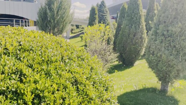 the park near the Chisinau International Airport parking lot, Moldova