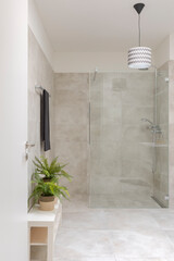 Modern bathroom interior with shower and glass partition. On the right two small plants. - 779878826