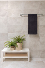Detail of a bathroom interior. A hanging towel and two small plants underneath.