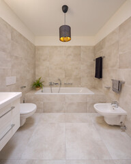 Interior of large modern bathroom with bathtub. - 779879065