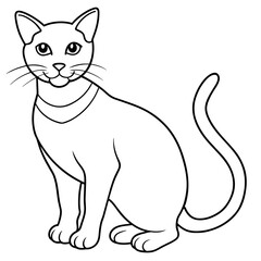   cat vector illustration with line art.
