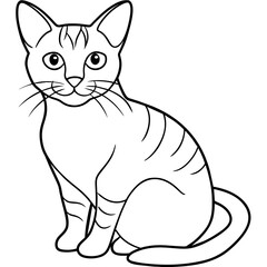   cat vector illustration with line art.
