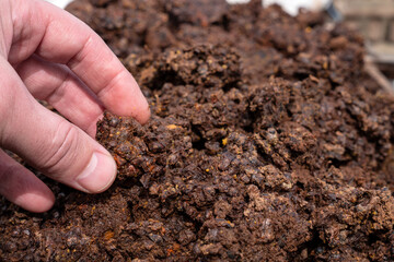 Merva waste from the processing of wax raw materials. Making beeswax at home.