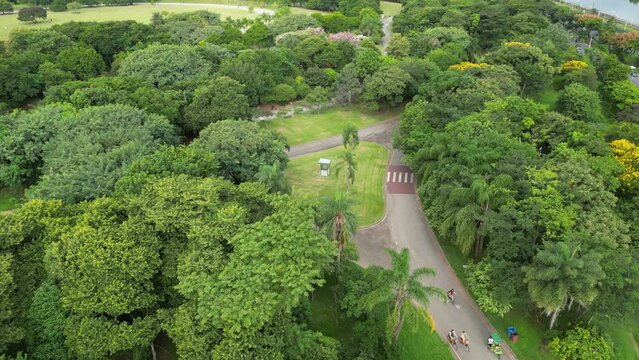 Parque Villa Lobos São Paulo Brasil Vegetação Natureza Recreação Lazer Trilhas Corrida Picnic Relaxamento Famílias Lago Playground Esportes Atividades ao Ar Livre Paisagem