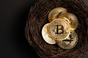 Minimal investing concept. Bitcoin cryptocurrency gold coins in nest on black background.
