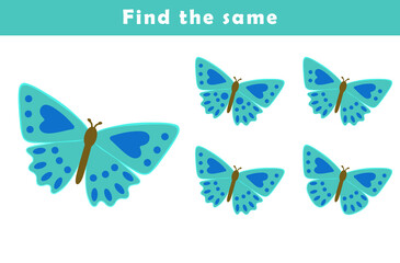 Find same picture worksheet for kids. Worksheet for kids kindergarten, preschool and school age. Education game for children with cute butterfly illustration.