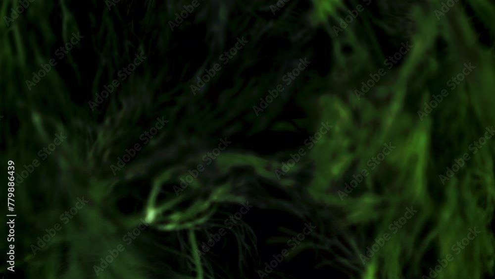 Wall mural super slow motion sprigs of fresh dill. . high quality fullhd footage