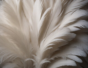 Soft White Feather Texture Detail