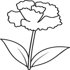 Carnation flower coloring pages. Carnation flower outline vector for coloring book
