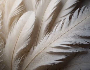 Lush White Feather Plumes Close-up