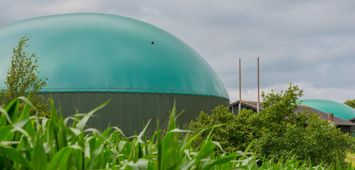 Biogasanlage zur Stromerzeugung und Energiegewinnung - 779887843