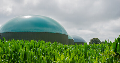 Biogasanlage zur Stromerzeugung und Energiegewinnung - 779888238
