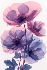 Ethereal Translucent Flowers in Shades of Pink and Purple