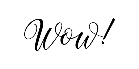 Wow - Handwritten text in calligraphic style on a white background. Vector illustration