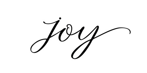 Joy - Handwritten text in calligraphic style on a white background. Vector illustration.
